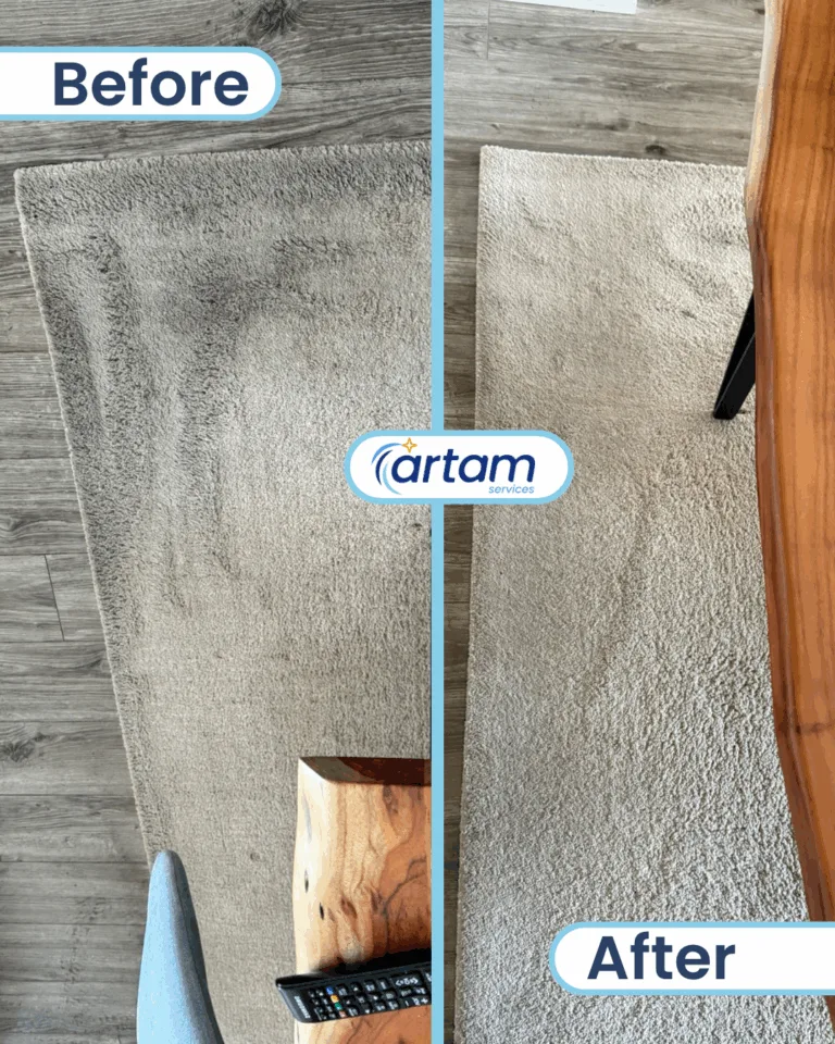 Professional Carpet Cleaning